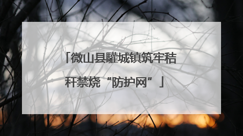 微山县驩城镇筑牢秸秆禁烧“防护网”