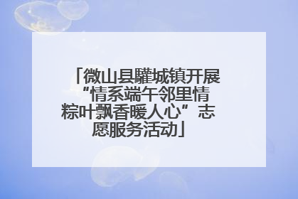 微山县驩城镇开展“情系端午邻里情 粽叶飘香暖人心”志愿服务活动