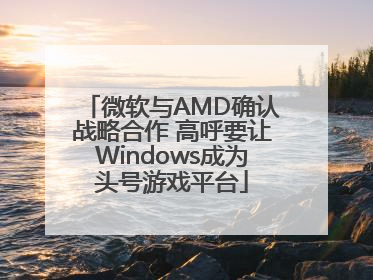 微软与AMD确认战略合作 高呼要让Windows成为头号游戏平台