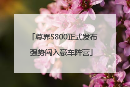 尊界S800正式发布 强势闯入豪车阵营