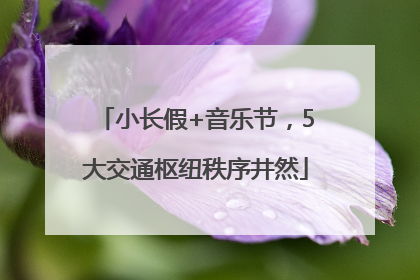 小长假+音乐节，5大交通枢纽秩序井然