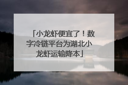 小龙虾便宜了！数字冷链平台为湖北小龙虾运输降本