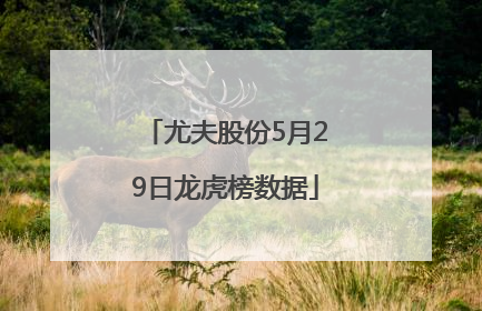 尤夫股份5月29日龙虎榜数据