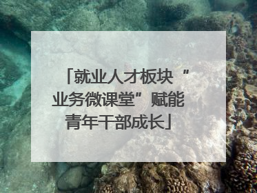 就业人才板块“业务微课堂”赋能青年干部成长
