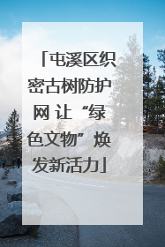 屯溪区织密古树防护网 让“绿色文物”焕发新活力