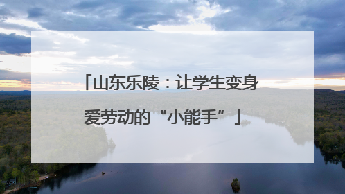 山东乐陵：让学生变身爱劳动的“小能手”