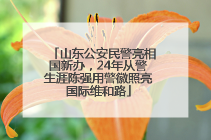 山东公安民警亮相国新办，24年从警生涯陈强用警徽照亮国际维和路