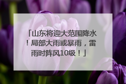 山东将迎大范围降水！局部大雨或暴雨，雷雨时阵风10级！