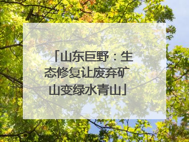 山东巨野：生态修复让废弃矿山变绿水青山