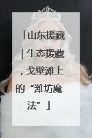 山东援藏｜生态援藏，戈壁滩上的“潍坊魔法”