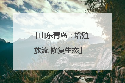 山东青岛：增殖放流 修复生态