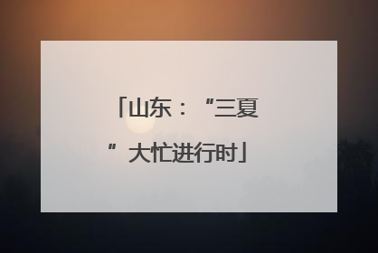 山东：“三夏”大忙进行时
