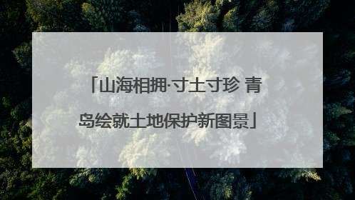 山海相拥·寸土寸珍 青岛绘就土地保护新图景