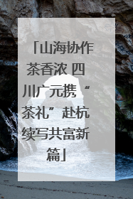 山海协作茶香浓 四川广元携“茶礼”赴杭续写共富新篇