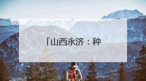 山西永济：种粮大户收获忙