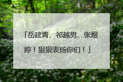 岳建青、祁越男、张煜婷！狠狠表扬你们！