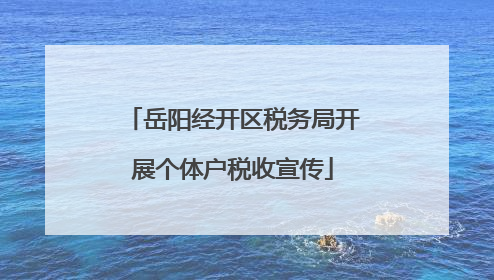 岳阳经开区税务局开展个体户税收宣传