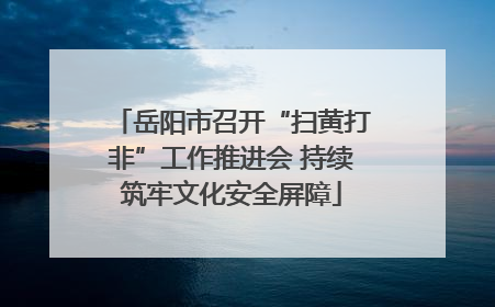 岳阳市召开“扫黄打非”工作推进会 持续筑牢文化安全屏障