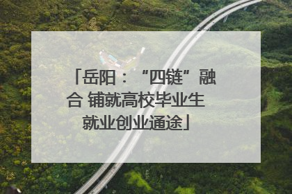 岳阳：“四链”融合 铺就高校毕业生就业创业通途