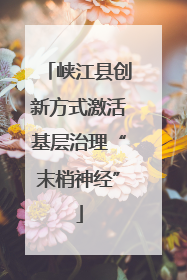 峡江县创新方式激活基层治理“末梢神经”