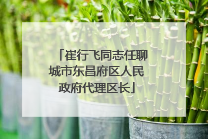 崔行飞同志任聊城市东昌府区人民政府代理区长