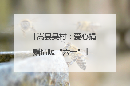 嵩县吴村：爱心捐赠情暖“六一”