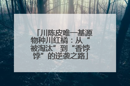 川陈皮唯一基源物种川红橘：从“被淘汰”到“香饽饽”的逆袭之路