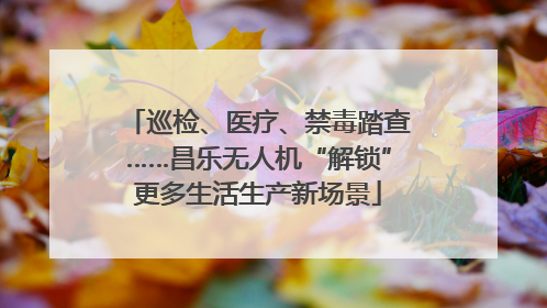 巡检、医疗、禁毒踏查……昌乐无人机“解锁”更多生活生产新场景
