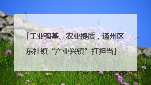 工业强基、农业提质，通州区东社镇“产业兴镇”扛担当