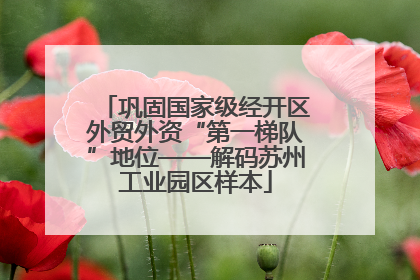 巩固国家级经开区外贸外资“第一梯队”地位——解码苏州工业园区样本