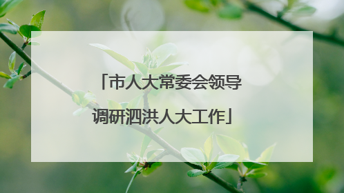 市人大常委会领导调研泗洪人大工作