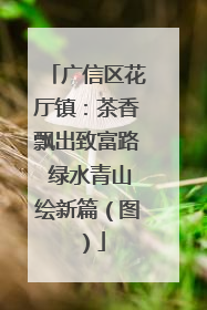 广信区花厅镇：茶香飘出致富路 绿水青山绘新篇（图）