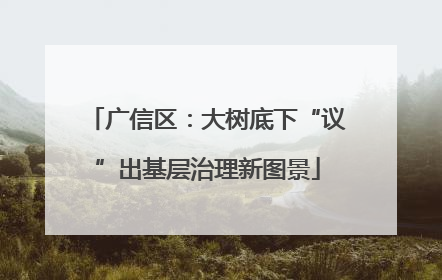 广信区：大树底下“议”出基层治理新图景