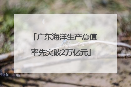广东海洋生产总值率先突破2万亿元