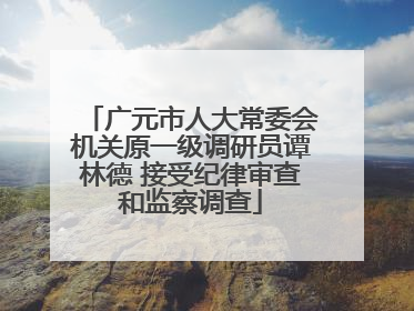 广元市人大常委会机关原一级调研员谭林德 接受纪律审查和监察调查