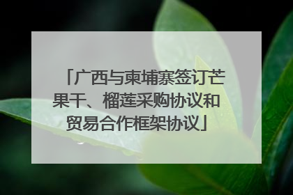 广西与柬埔寨签订芒果干、榴莲采购协议和贸易合作框架协议