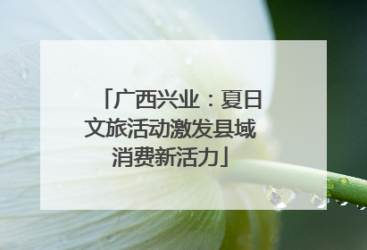 广西兴业：夏日文旅活动激发县域消费新活力