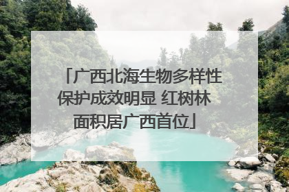 广西北海生物多样性保护成效明显 红树林面积居广西首位