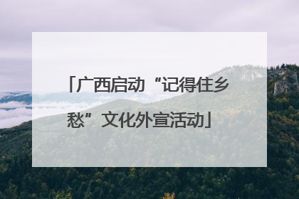 广西启动“记得住乡愁”文化外宣活动