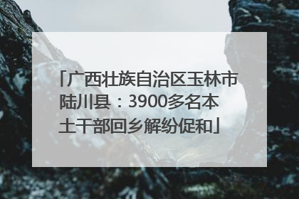 广西壮族自治区玉林市陆川县：3900多名本土干部回乡解纷促和