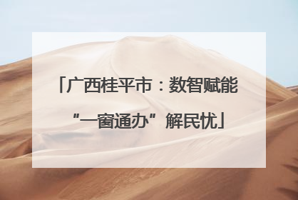 广西桂平市：数智赋能“一窗通办”解民忧