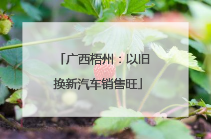 广西梧州：以旧换新汽车销售旺