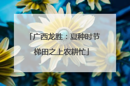 广西龙胜：夏种时节 梯田之上农耕忙
