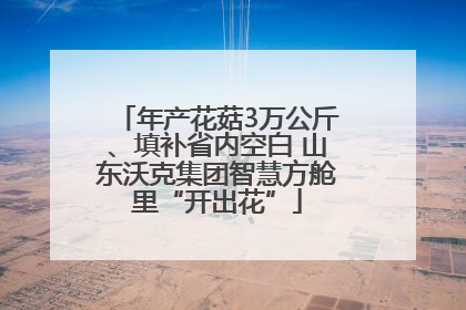 年产花菇3万公斤、填补省内空白 山东沃克集团智慧方舱里“开出花”