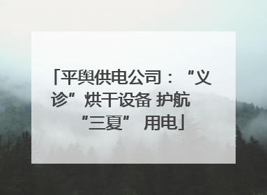 平舆供电公司：“义诊”烘干设备 护航 “三夏” 用电
