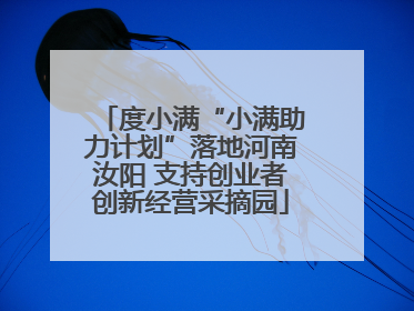 度小满“小满助力计划”落地河南汝阳 支持创业者创新经营采摘园
