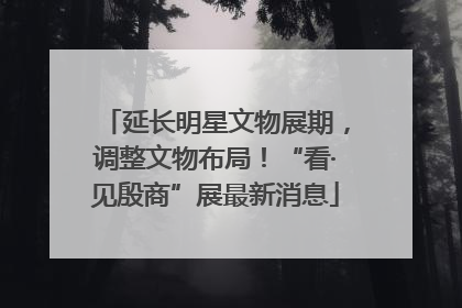 延长明星文物展期，调整文物布局！“看·见殷商”展最新消息