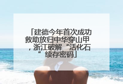 建德今年首次成功救助放归中华穿山甲，浙江破解“活化石”续存密码