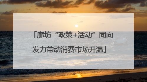 廊坊“政策+活动”同向发力带动消费市场升温