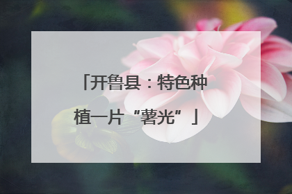 开鲁县：特色种植一片“薯光”